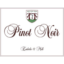 Pinot Noir "Basis" 2022 (750ml)