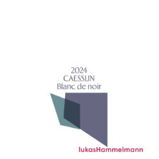 Blanc de Noir "Caesslin" Trocken 2024 (750ml)