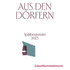 Pinot Noir Hochstadt "Aus den Dörfern" 2023 (750ml)